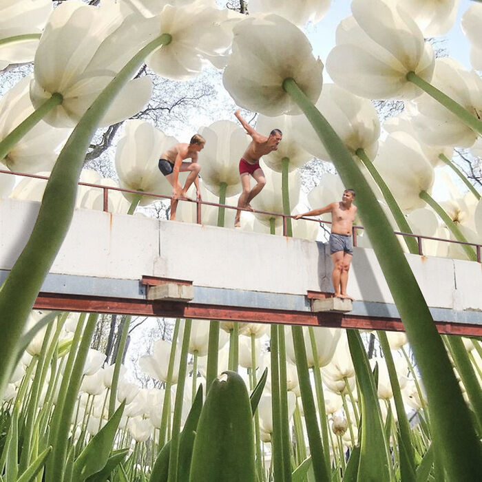 40 Nature Inspired Collages Tha Will Make Your Brain Hurt