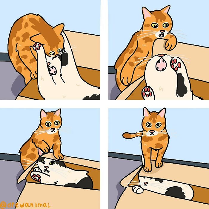 Funny art of viral cat moments showing two cats playfully interacting inside and around a cardboard box.