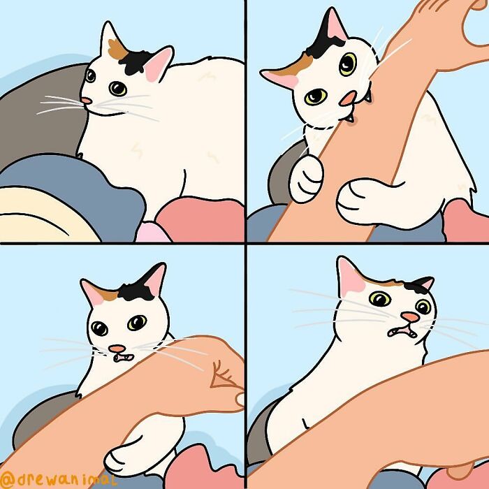 Funny art of a viral cat moment showing a calico cat reacting with surprise and biting a human arm playfully.