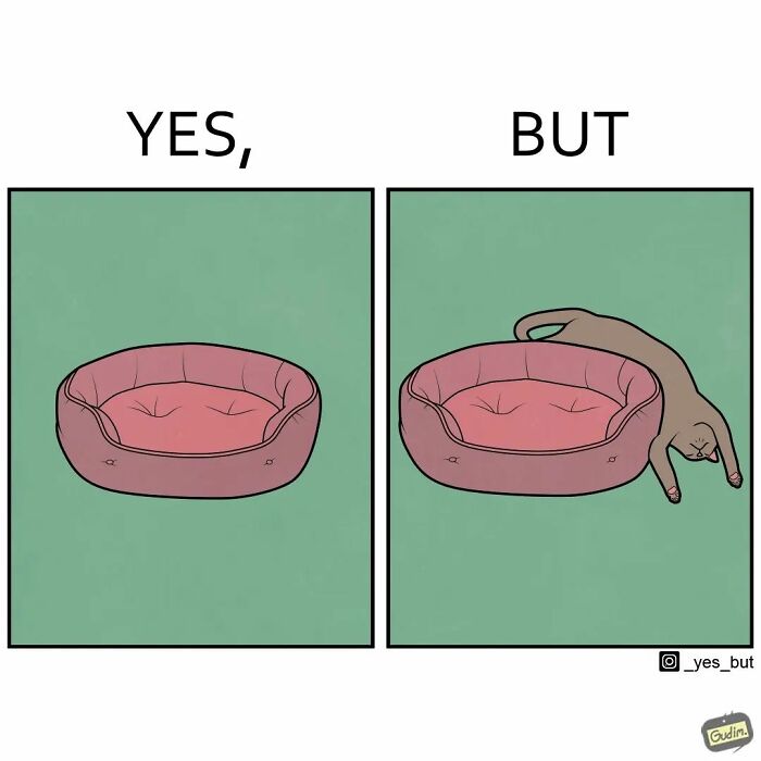 Comic showing a cat stretching awkwardly beside its bed illustrating humorous yes but comics.