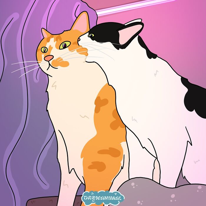 Illustration of two cats, one licking the other, showcasing viral cat moments turned into funny art.