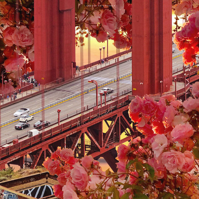 40 Nature Inspired Collages Tha Will Make Your Brain Hurt