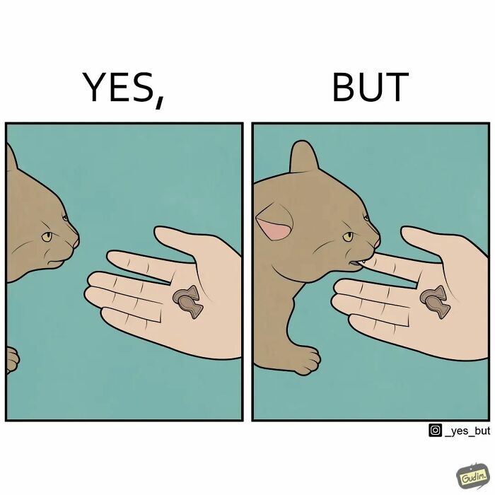 Two-panel yes but comic with a cat sniffing a hand holding a small treat, illustrating humor and absurdity.