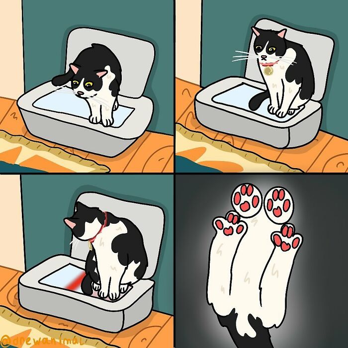 Funny art of a black and white cat reacting to a red spot, highlighting viral cat moments in a four-panel comic style.