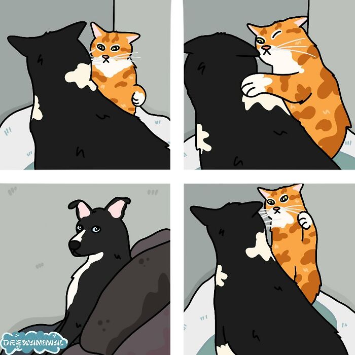 Cartoon showing viral cat moments with funny art style featuring interactions between a black dog and an orange cat.