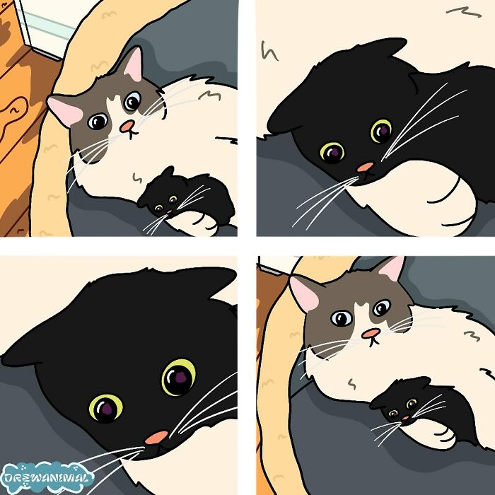 Cartoon art of viral cat moments showing a black and gray cat in funny and cute expressions.
