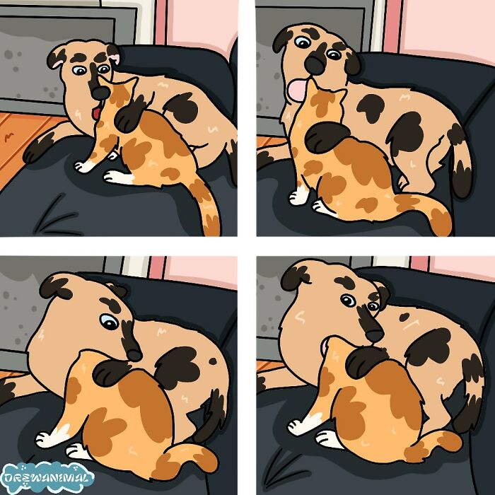 Cartoon art of a dog and cat on a couch, showing funny viral cat moments turned into creative art.