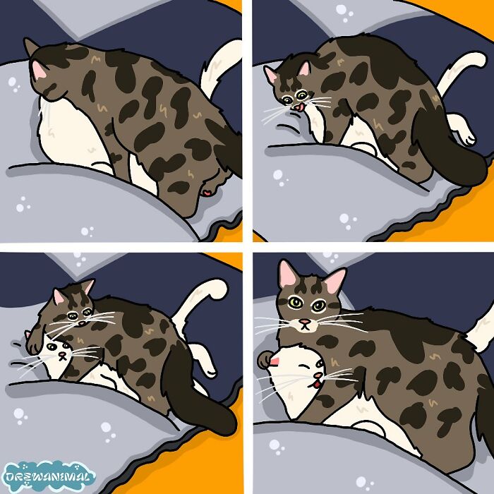 Comic-style funny art of a viral cat moment showing a spotted cat interacting humorously on a gray cushion.