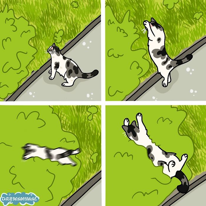 Illustration of viral cat moments transformed into funny art showing a cat jumping into bushes in four panels.