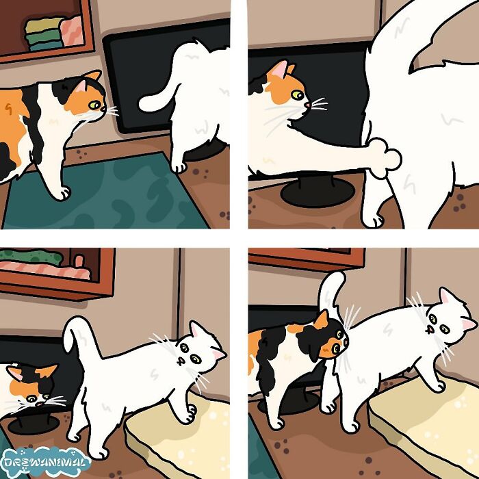Funny art of viral cat moments showing two cats interacting near a computer and a soft cushion in a cartoon style.
