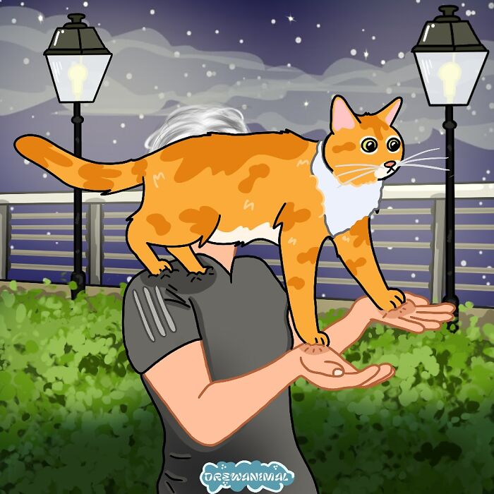Digital art of a viral cat moment showing an orange cat standing on a person's hands at night outdoors.