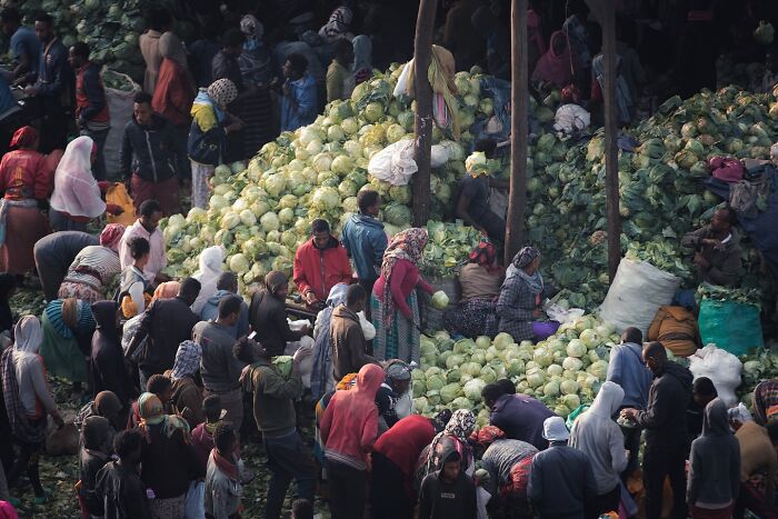Crowd of people at a busy street market surrounded by large piles of cabbages in a cinematic street photo style.