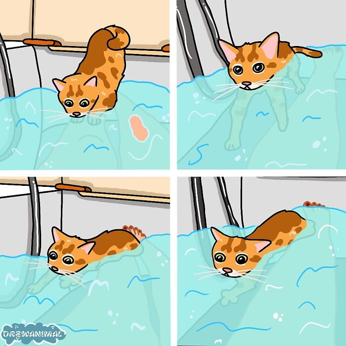 Illustration of a cat in water spread across four panels, showcasing viral cat moments turned into funny art.