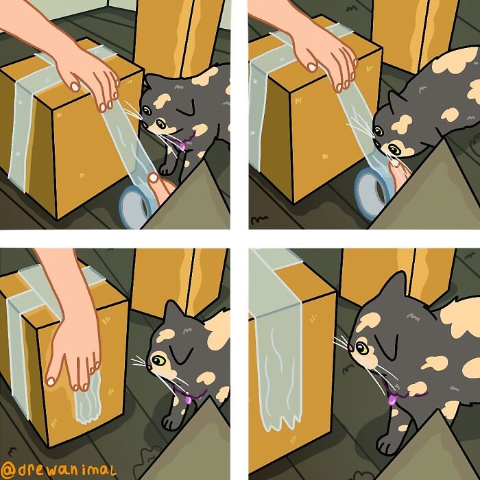 Funny art of a curious cat interacting with packing tape on a cardboard box in a viral cat moment illustration.