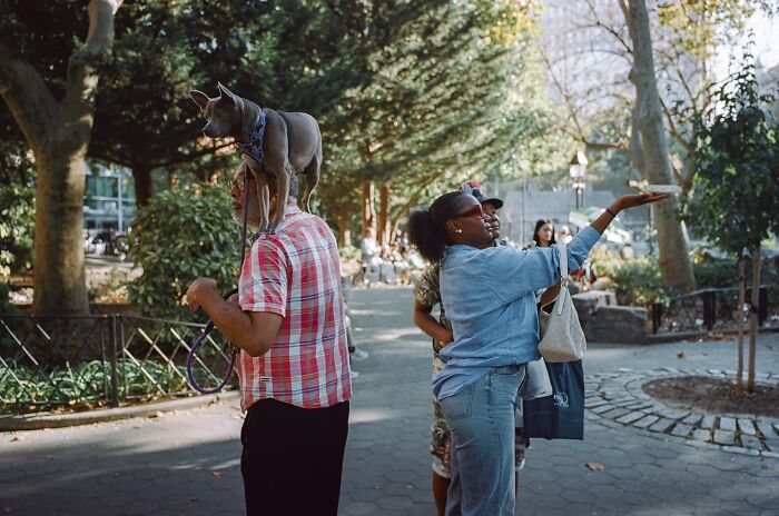 Man with dog on his shoulders and woman gesturing in a sunlit urban park, captured in striking street photos style.