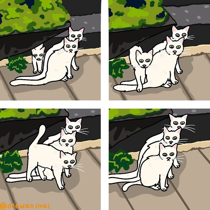Cartoon illustration of viral cat moments featuring three white cats in a humorous and playful outdoor scene.