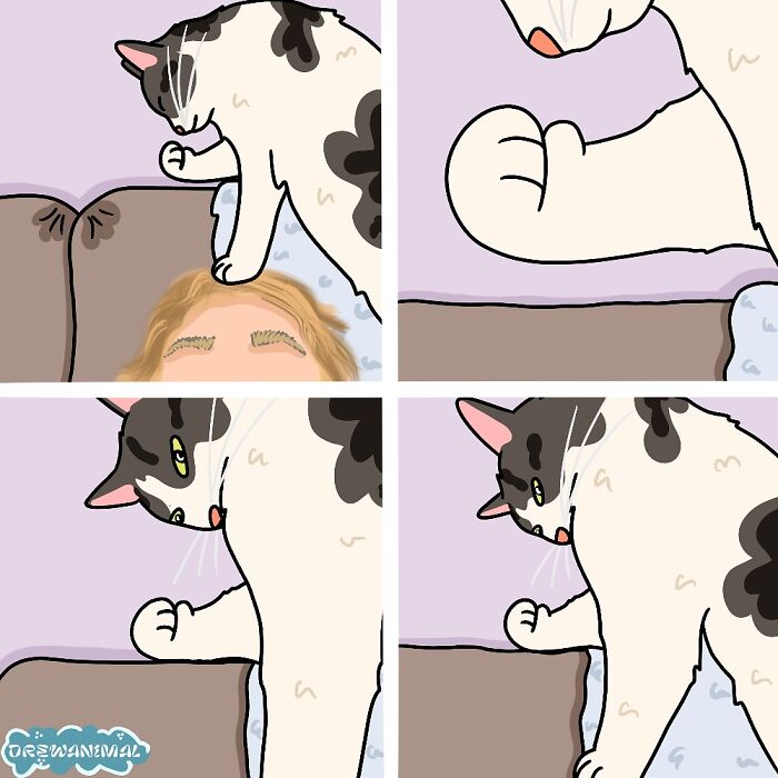 Funny art illustration of a cat showing a viral moment with a cat and person on a couch in four panels.