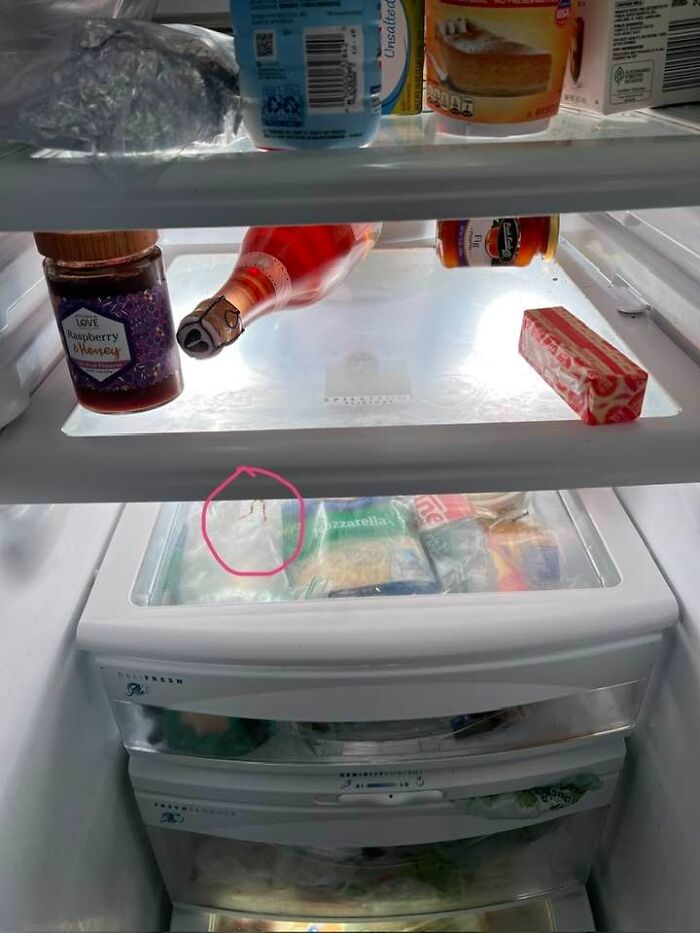 Open fridge shelf with various food items and a frog circled inside, highlighting rescue kindness going viral online. Open fridge shelf with various food items and a frog circled inside, highlighting rescue kindness going viral online.