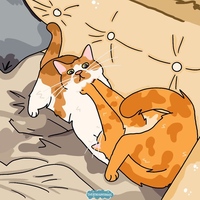 Illustration of viral cat moments showing two playful cats in funny art style on a sofa.