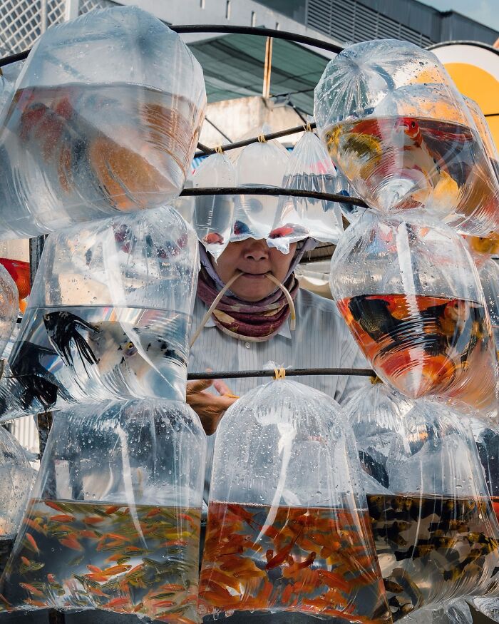 Street photo of a vendor selling goldfish in plastic bags at a market, capturing striking street photography vibes.