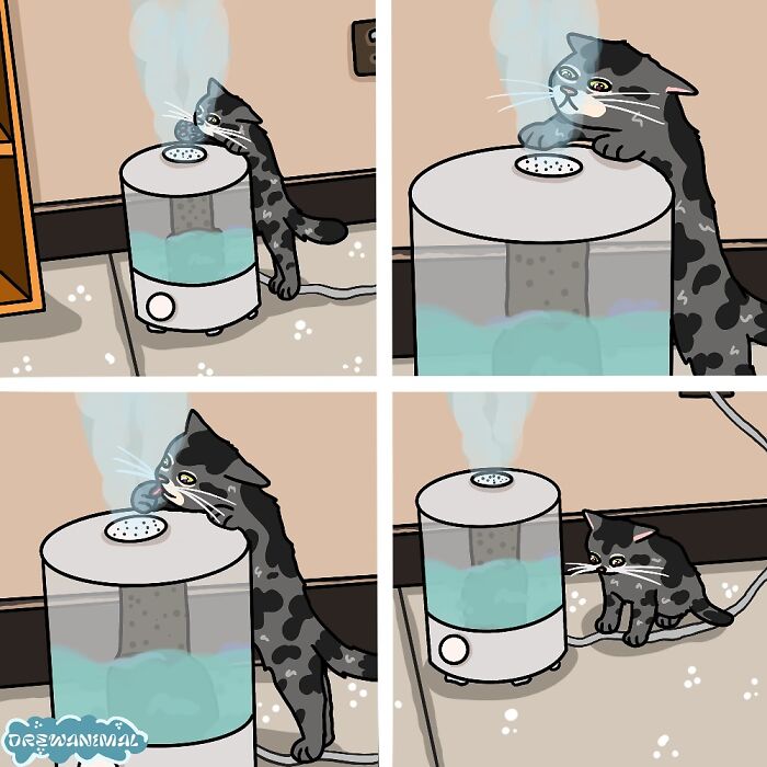 Cartoon cat interacting with a steaming humidifier in a funny viral cat moments art style.