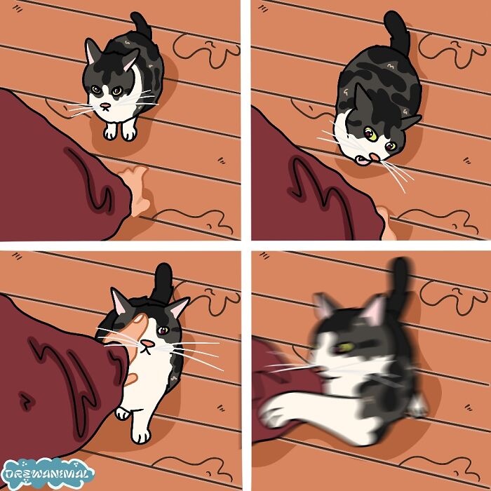 Illustrated viral cat moments showing a black and white cat playfully interacting with a curtain in funny art style.