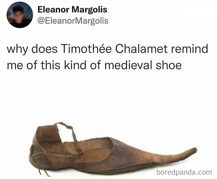 Medieval shoe with elongated toe seen in a funny meme challenging history knowledge and Timothée Chalamet comparison.