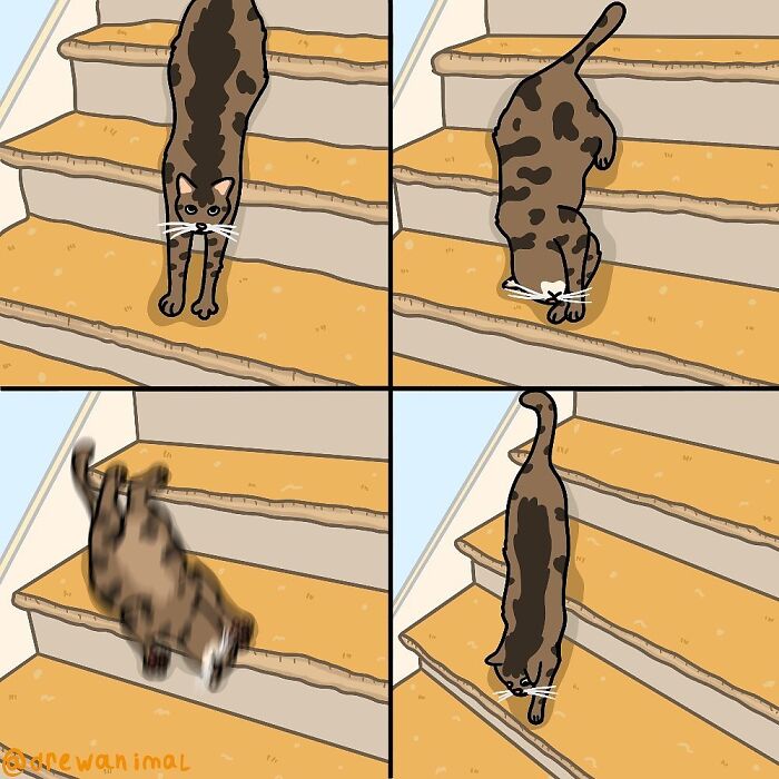 Illustration of a cat slipping on stairs in funny art capturing viral cat moments in a humorous style.