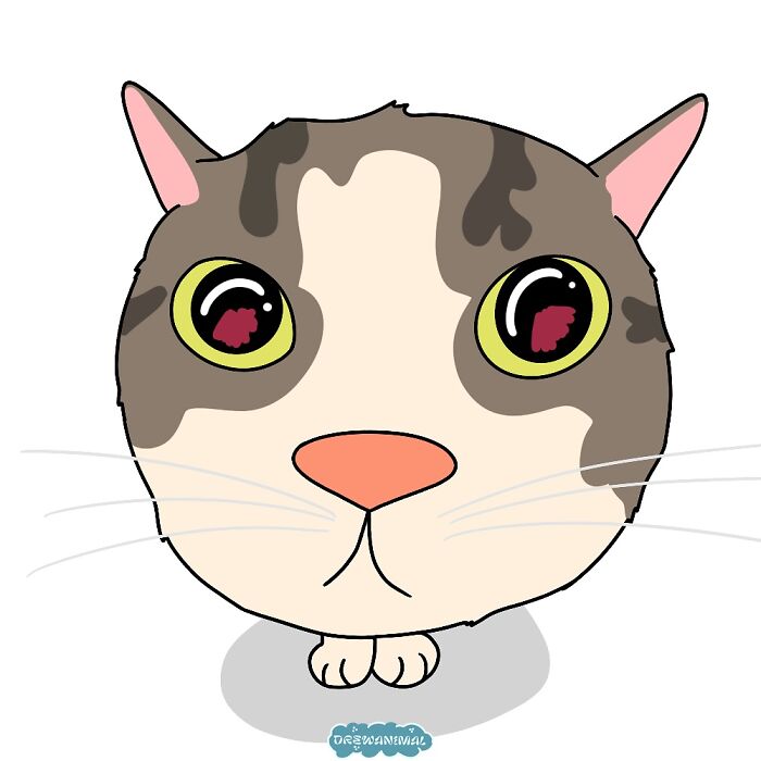 Cartoon-style funny art of a viral cat moment featuring an expressive wide-eyed cat face with pink ears.