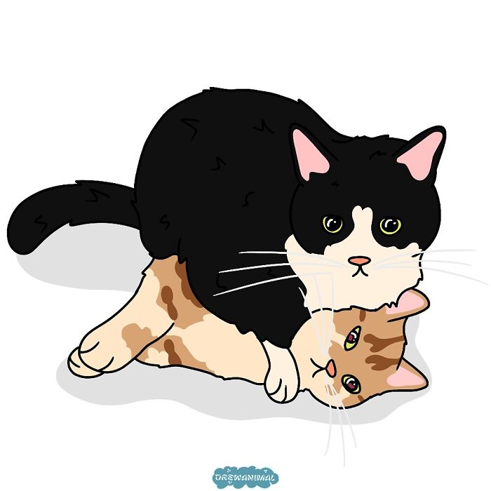 Two cats playfully interacting in a funny art style illustrating viral cat moments by a creative artist.