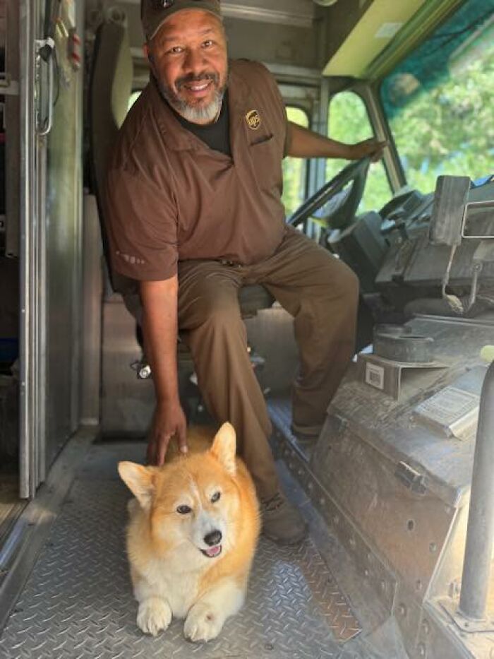 UPS driver smiling inside delivery truck while petting an adorable corgi dog resting on the floor.