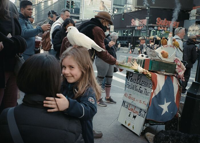 Girl smiling with a white bird perched on her head among striking street photos capturing lively urban moments.