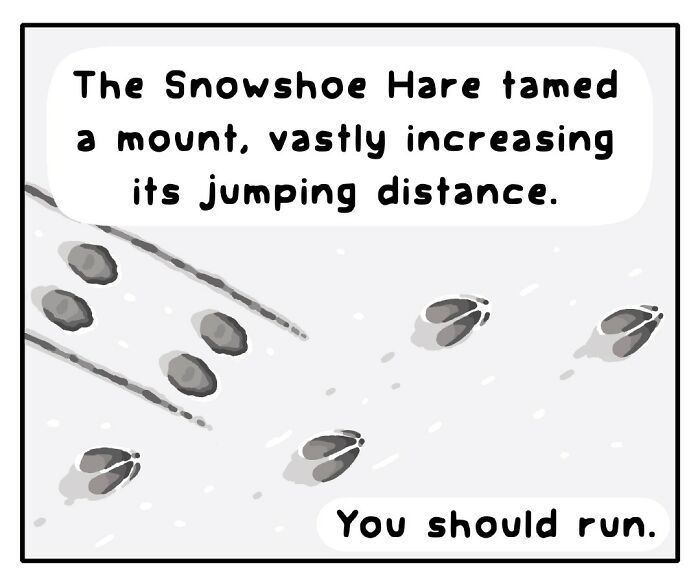 Comic panel showing animal footprints in snow with text about an American Red Squirrel in playful wildlife artwork.