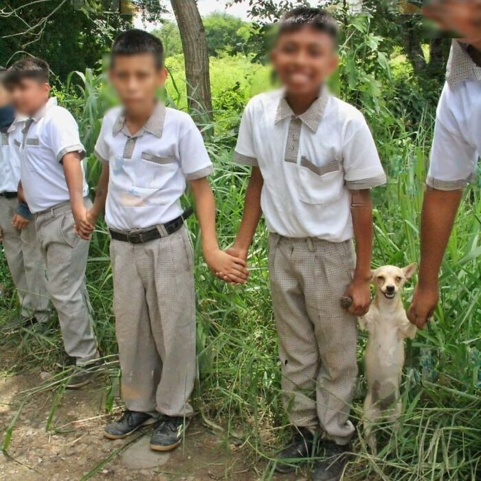 Niños en uniforme escolar sosteniendo manos junto a un perro pequeño sonriendo en un momento divertido captado.