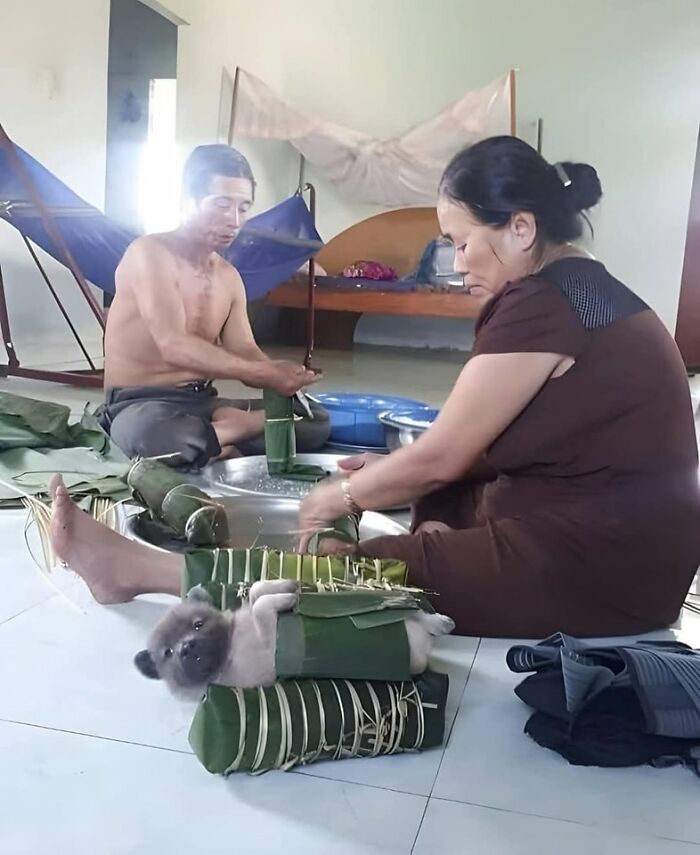 Perro divertido acostado en una manta mientras dos personas trabajan en el suelo en un ambiente hogareño.