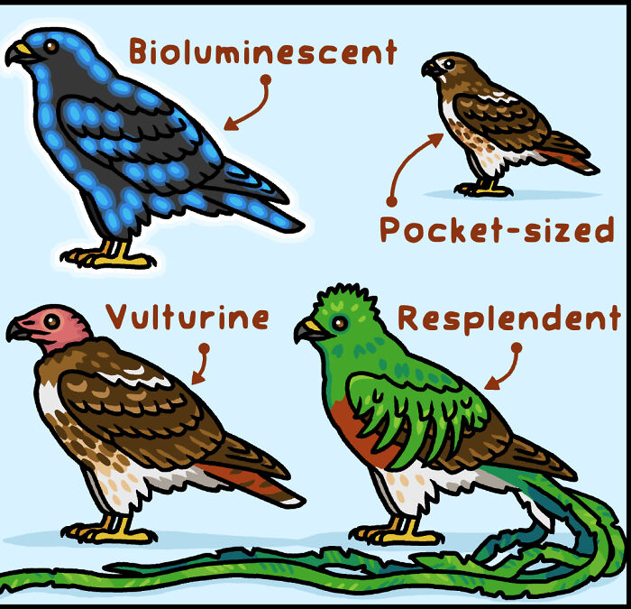 Definition of polymorphism in a playful comic style illustrating a nature and wildlife concept by an artist.