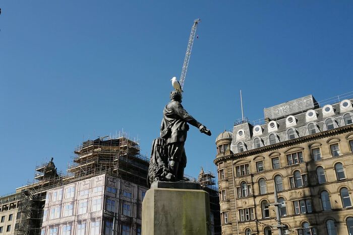 Street photo of a statue with a bird perched on its head against a clear blue sky capturing the funny side of life.