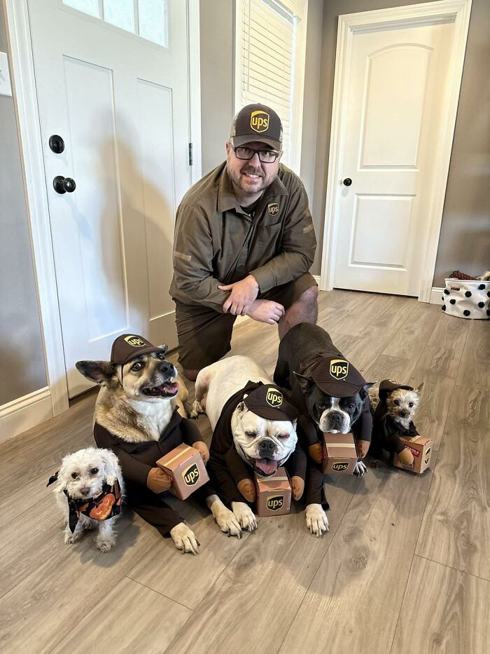UPS driver posing indoors with four dogs dressed in adorable UPS costumes holding small UPS package props.