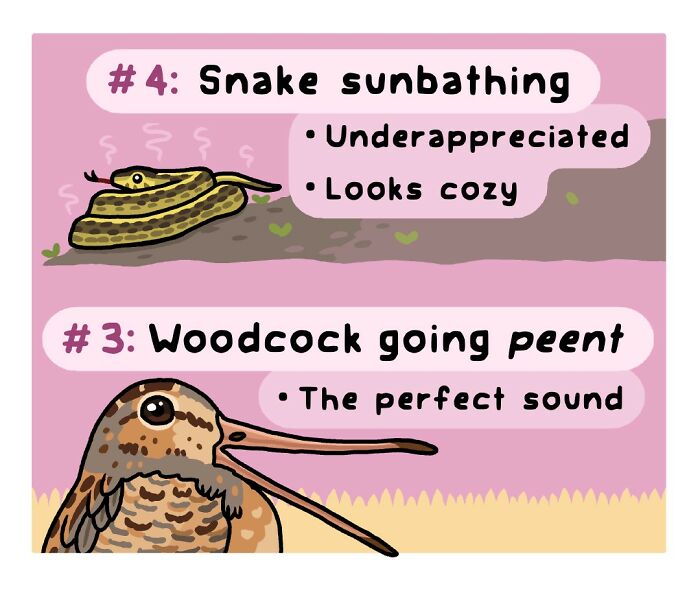 Playful comic featuring a robin as a sign of spring, highlighting the funny side of nature and wildlife.