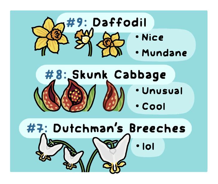 Playful comic featuring a robin as a sign of spring, highlighting the funny side of nature and wildlife.