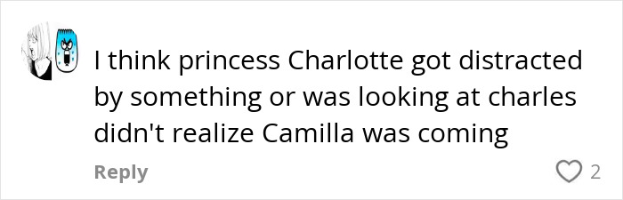 Comment discussing Princess Charlotte&rsquo;s curtsy mistake and Camilla&rsquo;s cold gesture toward Kate in a social media post.