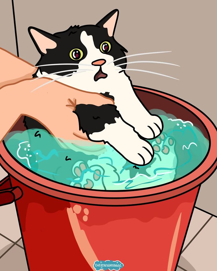 Illustration of a surprised black and white cat being dipped in water, showcasing viral cat moments turned into funny art.