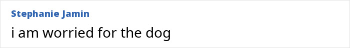 Text on a screen reading "i am worried for the dog" reflecting concerns amid Britney Spears’ inner circle tensions. Text on a screen reading "i am worried for the dog" reflecting concerns amid Britney Spears’ inner circle tensions.