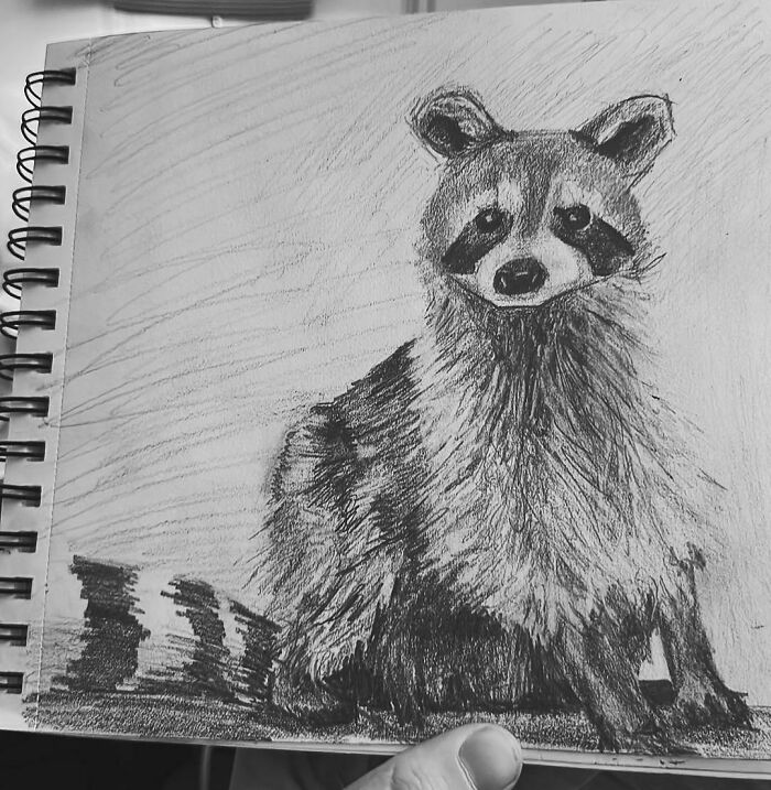Charcoal sketch of a raccoon on a spiral-bound notebook, showcasing detailed fur texture, reflecting tattoo artist skills.