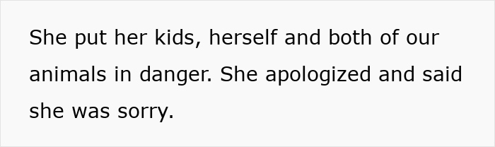 Text on a plain background stating someone put kids, herself, and animals in danger but apologized afterwards.