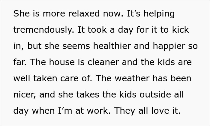 Text excerpt about a wife leaving toddlers behind as the husband manages childcare and household responsibilities.