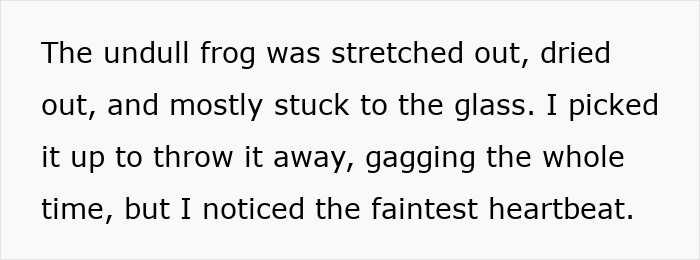 Woman rescues dried-out frog from fridge, gaining attention online for her kindness and viral act of saving a frog. Woman rescues dried-out frog from fridge, gaining attention online for her kindness and viral act of saving a frog.