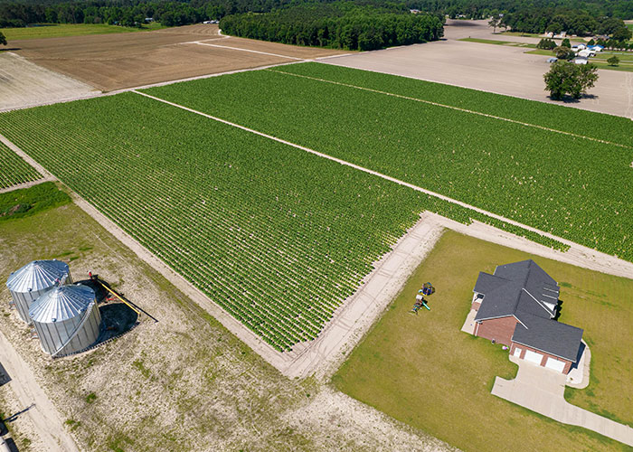 A newly discovered hidden gem on a rural property features vast green fields and a modern home after moving into new houses.
