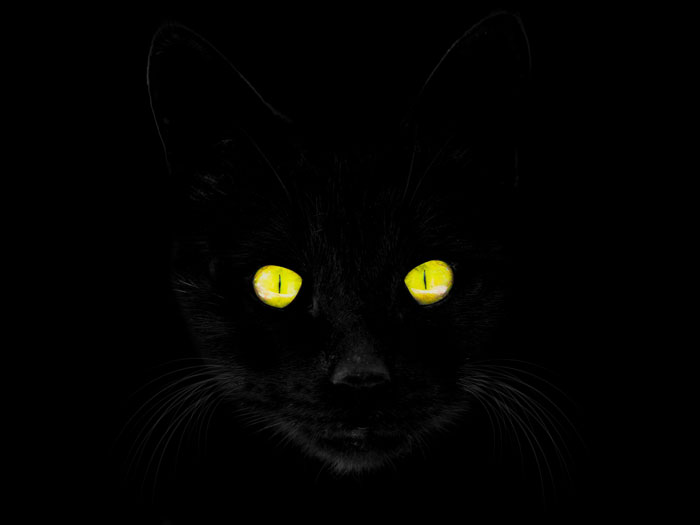 Black cat with glowing yellow eyes in darkness, evoking creepy things experienced while home alone atmosphere.