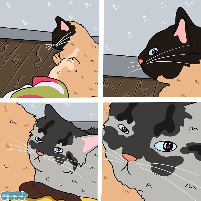 Digital art of cats in funny viral moments, showcasing expressive faces and playful interactions in a colorful cartoon style.